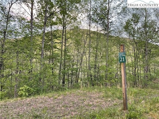 21 Pinnacle Dr, Todd, NC 28684