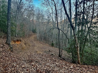 0 Bradley Creek Rd Unit 26042870, Cowee, NC 28734