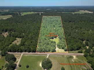 TBD (23400) Cr 244 Tract 5, Overton, TX 75684