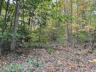 Lot 156 New Hampshire Dr Unit 156, Webster, NH 03303