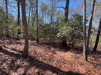Lot 1897 Buccaneer Blvd Unit 1897, Greenbackvile, VA 23356