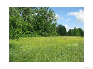 9556 Van Etten Rd, Gowanda, NY 14070