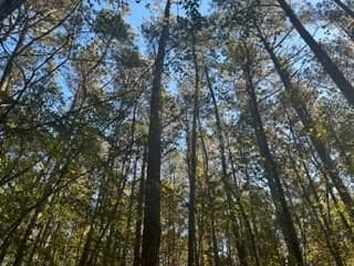 0 Messick, Watha, NC 28478