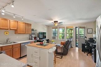 512 Lakeside Dr Unit 512, Basalt, CO 81621