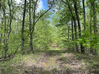 000 Queens Ridge Rd, Kiahsville, WV 25534
