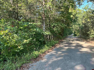 002-05385-000 Hazelnut Cir, Mountain Home, AR 72653