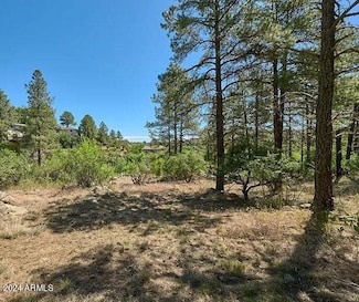 412 White Spar Rd Unit 1, Prescott, AZ 86303