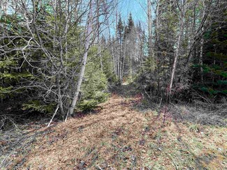 33 Leigh Ln Unit 28, Colebrook, NH 03576