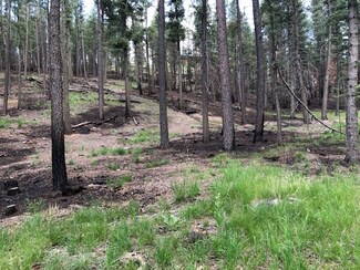Lot 91 Pendaries Village Subdivision 4-2 Extension, Rociada, NM 87742