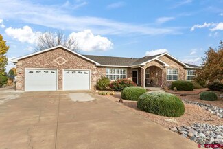 2805 Bluebell Ct, Montrose, CO 81401