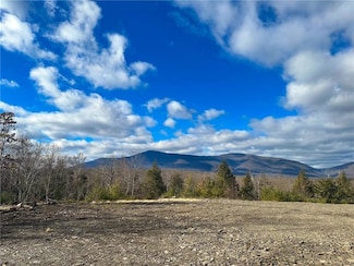 0 Fish Creek Rd Unit KEY835908, Saugerties, NY 12477