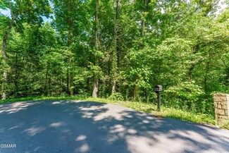 LOT 3A Maples Rd, Gatlinburg, TN 37738