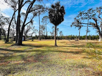 1991 Cairo Parker Rd, Perry, FL 32347