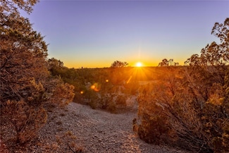 Lot  1 County Road 108, Burnet, TX 78611