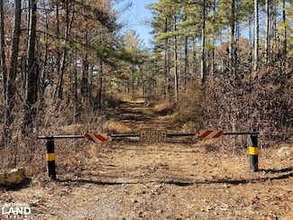 0 Pocket Rd, Lafayette, GA 30728