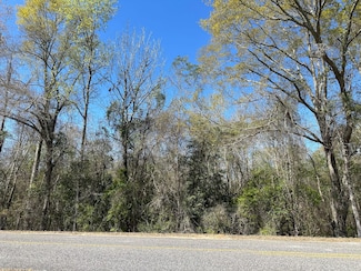 0 County Road 47, Goshen, AL 36035