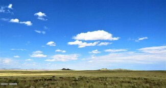 Ariz Rancho #71 Lot 17, Holbrook, AZ 86025