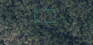 0 None Unit F10446477, Bonifay, FL 32425