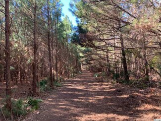 Lot 2 Brantly Rd, Andrews, SC 29510