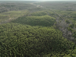 0 Race Path Rd, Stantonville, TN 38379