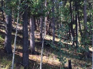 502 Smith Rd, Bailey, CO 80421
