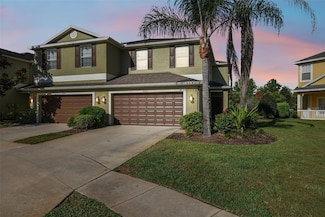 20216 Water Hickory Place, Tampa, FL 33647