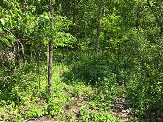 L15 Ringhand Rd, Monticello, WI 53570