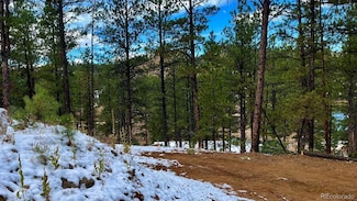 15126 N Pine Lake Place, Woodland Park, CO 80863