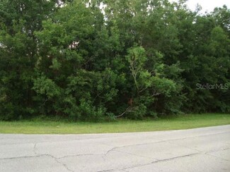 TBD SE 74th Ave, Belleview, FL 34420