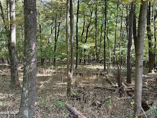 LOT 2 Glade Pike Estates, Manns Choice, PA 15550