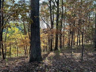 0 Tbd Old Hwy 18, Tennessee Ridge, TN 37178