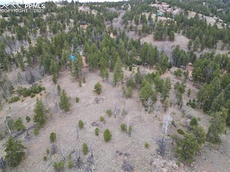 475 Pinon Ln, Florissant, CO 80816