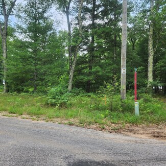 11614 S Red Cedar Ave, Baldwin, MI 49304