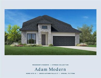 28030 Autumn Falls Ct, Spring, TX 77386