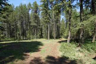 13515 E Oregon Rd, Elk, WA 99009