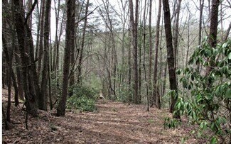 0 Turniptown Rd Unit 315020, Ellijay, GA 30536