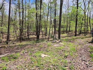 206 Goodstock Rd, Crossville, TN 38555