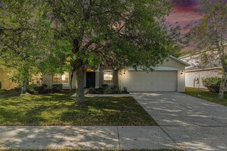 19033 Tilobe Loop, Land O Lakes, FL 34638