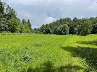 0 Harlow Hollow, Grayson, KY 41143
