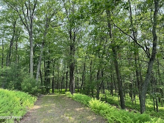 Lot 14 Sawkill Dr, Dingman Township, PA 18337