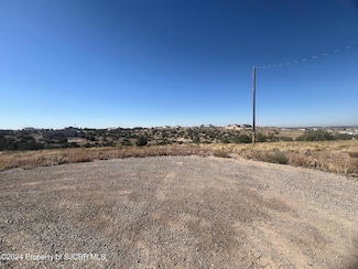 LOT 273 Road 3787, Farmington, NM 87401