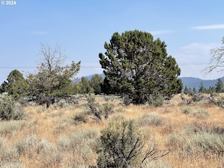 0 Rim Dr Unit 12 24560277, Chiloquin, OR 97639