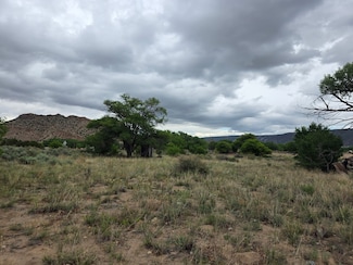 13 County Road 136a, Hernandez, NM 87537