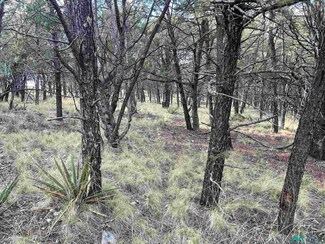 49 Eldorado Dr, Timberon, NM 88350