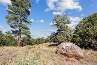 961 Ridgeview Way, Crestone, CO 81131