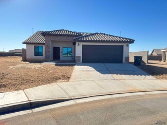 313 N Amarely Ave, San Luis, AZ 85349