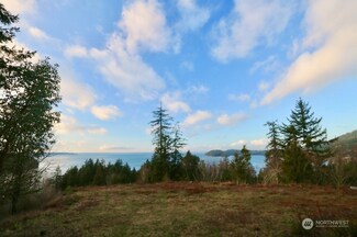 556 Heron Point Ln, Bellingham, WA 98229
