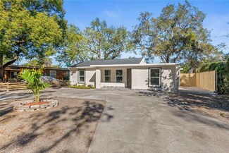710 E Orchid Ave, Tampa, FL 33612