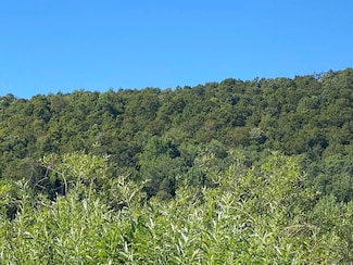 00 County Highway 14, East Meredith, NY 13757