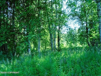 93 S Parks Hwy, Willow, AK 99688